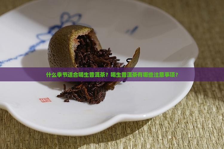 什么季节适合喝生普洱茶？喝生普洱茶有哪些注意事项？