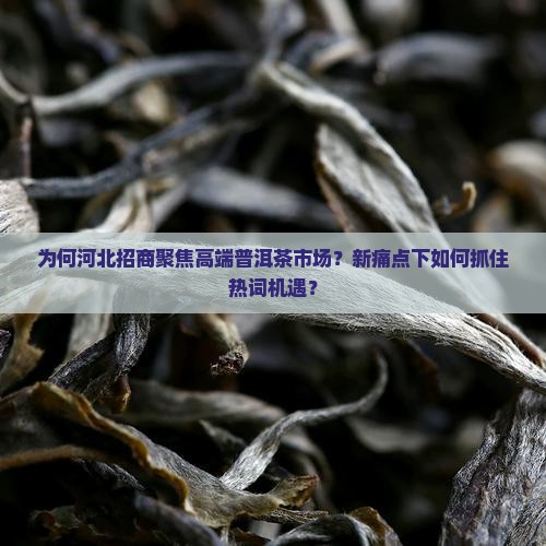 为何河北招商聚焦高端普洱茶市场？新痛点下如何抓住热词机遇？