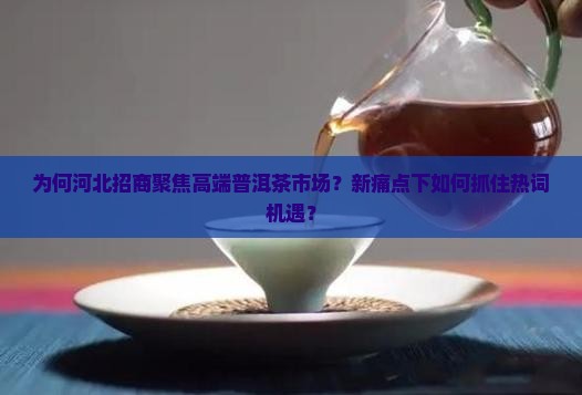 为何河北招商聚焦高端普洱茶市场？新痛点下如何抓住热词机遇？