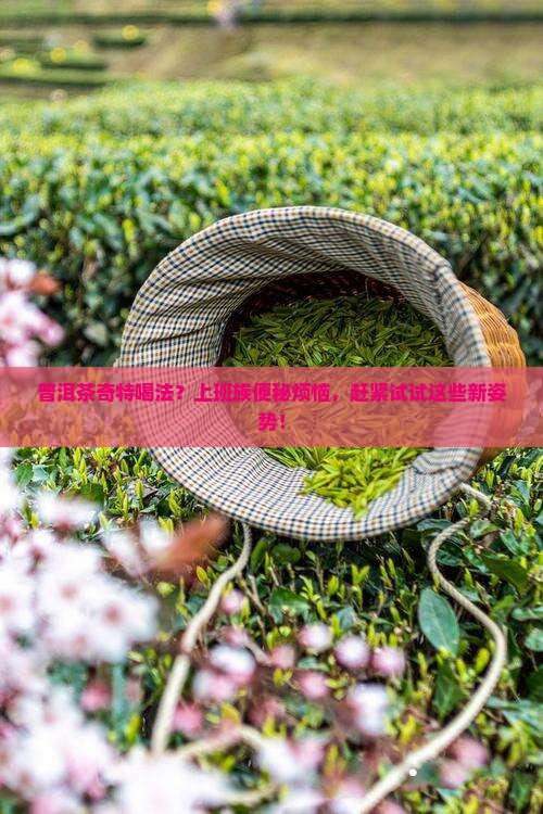 普洱茶奇特喝法？上班族便秘烦恼，赶紧试试这些新姿势！