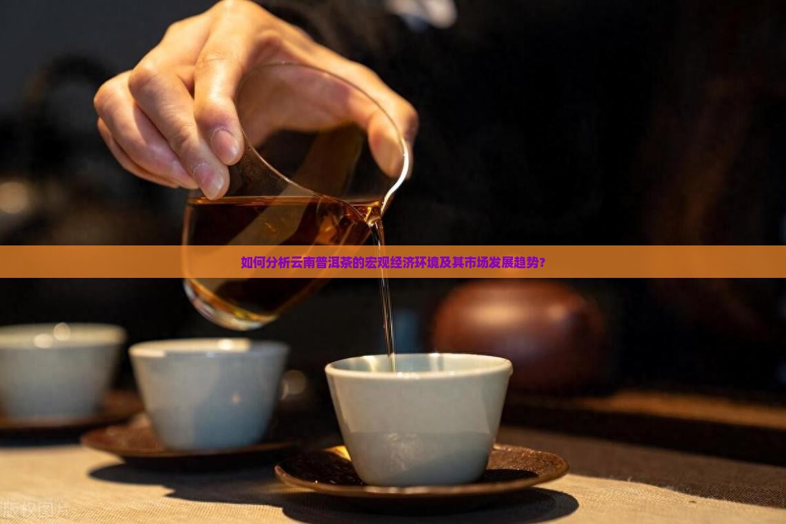 如何分析云南普洱茶的宏观经济环境及其市场发展趋势？