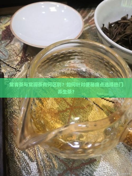 常青茶与常润茶有何区别？如何针对便秘痛点选择热门养生茶？