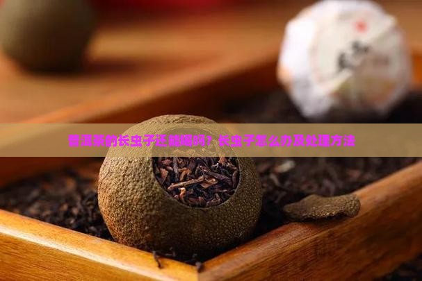 普洱茶的长虫子还能喝吗？长虫子怎么办及处理方法