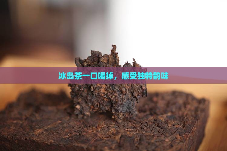 冰岛茶一口喝掉，感受独特韵味