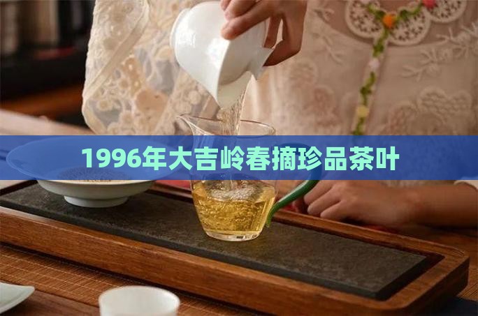 1996年大吉岭春摘珍品茶叶