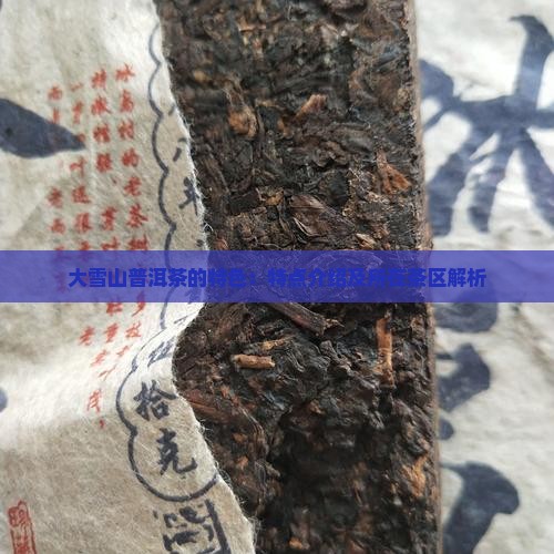 大雪山普洱茶的特色：特点介绍及所在茶区解析