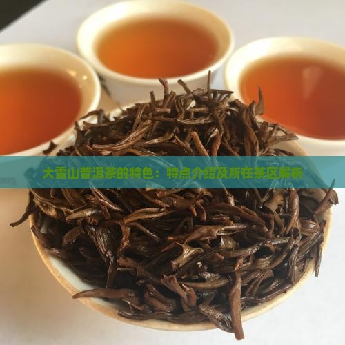大雪山普洱茶的特色：特点介绍及所在茶区解析