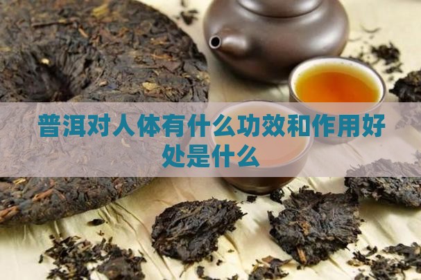 普洱对人体有什么功效和作用好处是什么