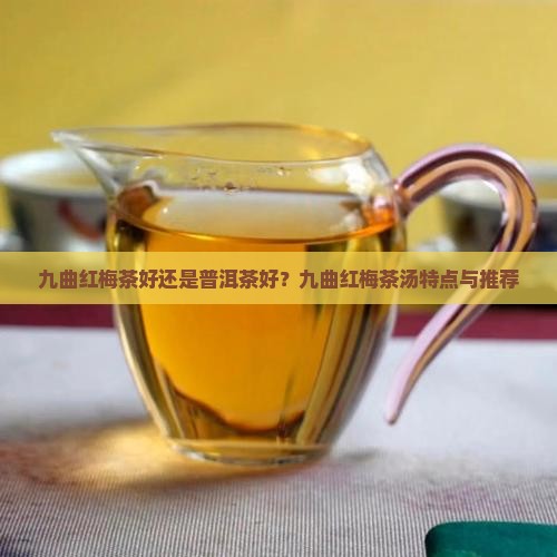 九曲红梅茶好还是普洱茶好？九曲红梅茶汤特点与推荐