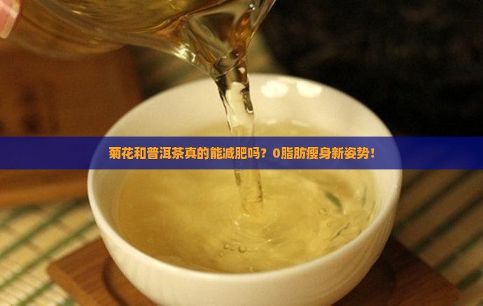 菊花和普洱茶真的能减肥吗？0脂肪瘦身新姿势！