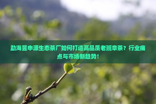 勐海昱申源生态茶厂如何打造高品质老班章茶？行业痛点与市场新趋势！