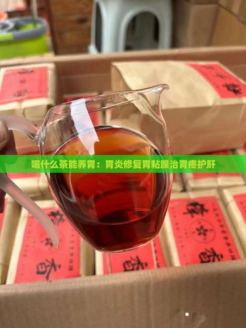 喝什么茶能养胃：胃炎修复胃粘膜治胃疼护肝