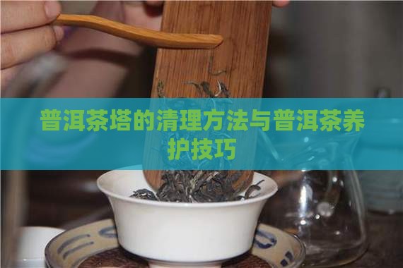 普洱茶塔的清理方法与普洱茶养护技巧