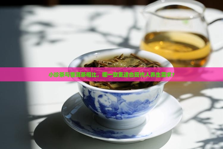 小珍茶与普洱茶相比，哪一款更适合现代人养生需求？