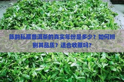 陈韵私藏普洱茶的真实年份是多少？如何辨别其品质？适合收藏吗？
