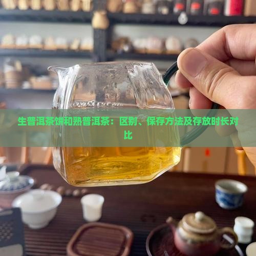 生普洱茶饼和熟普洱茶：区别、保存方法及存放时长对比