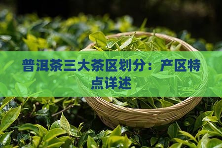 普洱茶三大茶区划分：产区特点详述