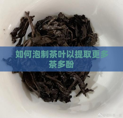 如何泡制茶叶以提取更多茶多酚