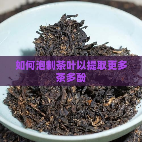 如何泡制茶叶以提取更多茶多酚