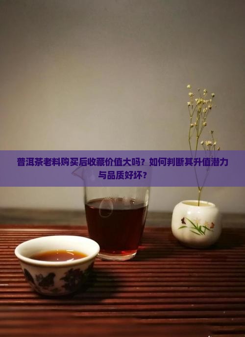 普洱茶老料购买后收藏价值大吗？如何判断其升值潜力与品质好坏？