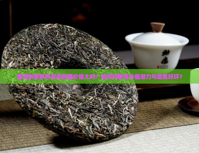 普洱茶老料购买后收藏价值大吗？如何判断其升值潜力与品质好坏？