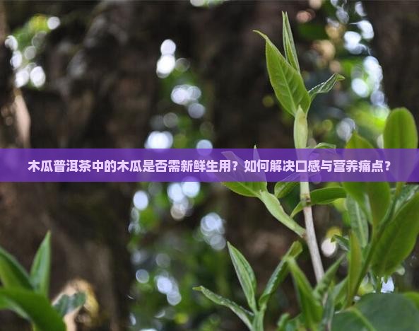 木瓜普洱茶中的木瓜是否需新鲜生用？如何解决口感与营养痛点？