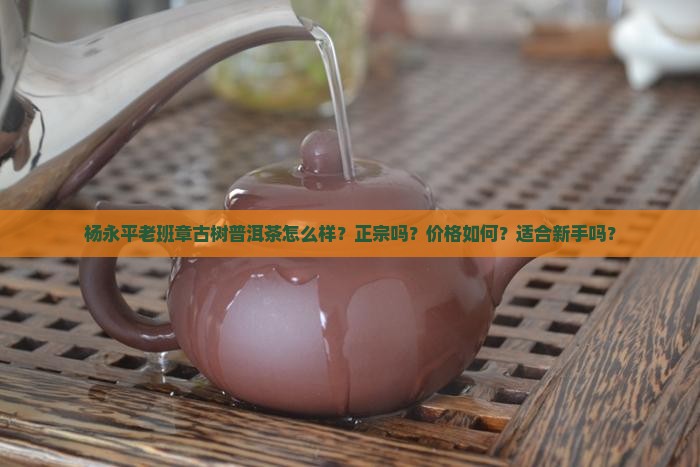 杨永平老班章古树普洱茶怎么样？正宗吗？价格如何？适合新手吗？