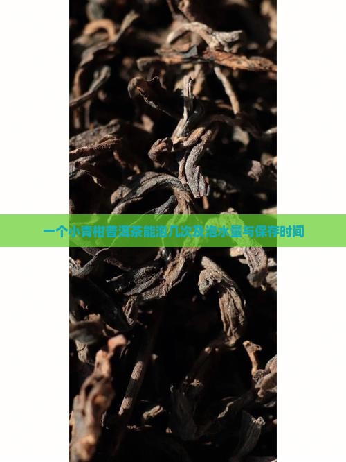 一个小青柑普洱茶能泡几次及泡水量与保存时间