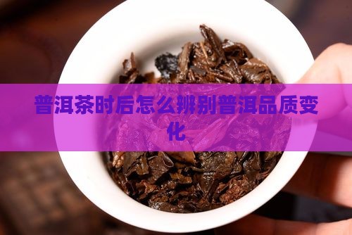普洱茶时后怎么辨别普洱品质变化