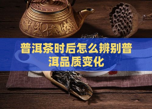 普洱茶时后怎么辨别普洱品质变化