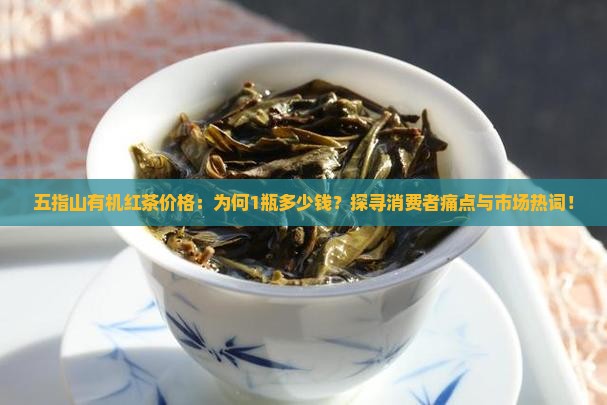 五指山有机红茶价格：为何1瓶多少钱？探寻消费者痛点与市场热词！