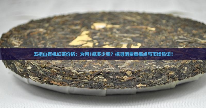 五指山有机红茶价格：为何1瓶多少钱？探寻消费者痛点与市场热词！