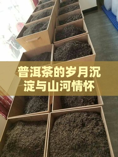普洱茶的岁月沉淀与山河情怀