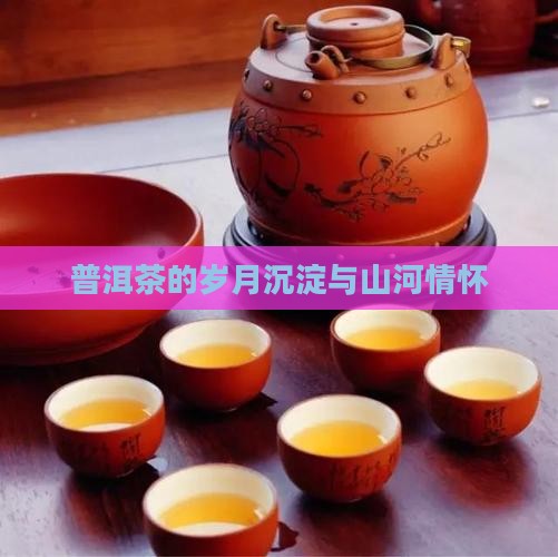 普洱茶的岁月沉淀与山河情怀