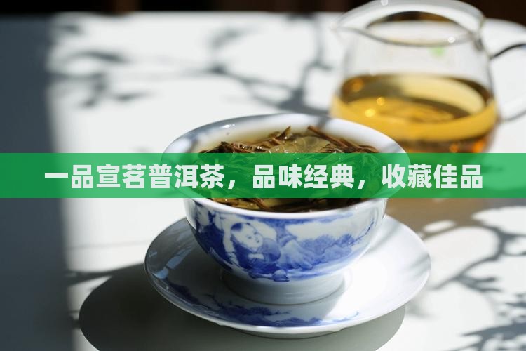 一品宣茗普洱茶，品味经典，收藏佳品