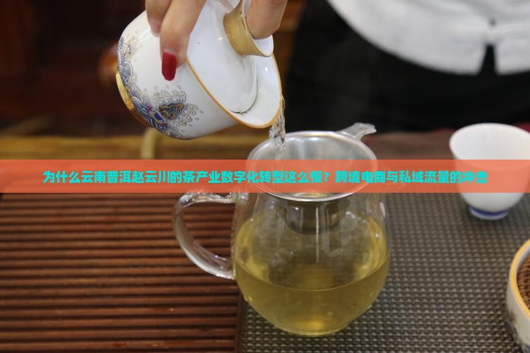 为什么云南普洱赵云川的茶产业数字化转型这么慢？跨境电商与私域流量的冲击