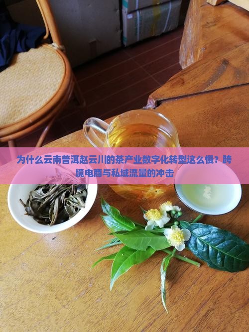 为什么云南普洱赵云川的茶产业数字化转型这么慢？跨境电商与私域流量的冲击