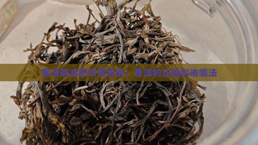 普洱茶减肥饮用指南：普洱的正确刮油喝法