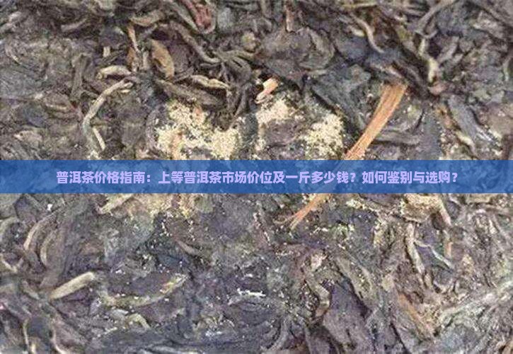普洱茶价格指南：上等普洱茶市场价位及一斤多少钱？如何鉴别与选购？