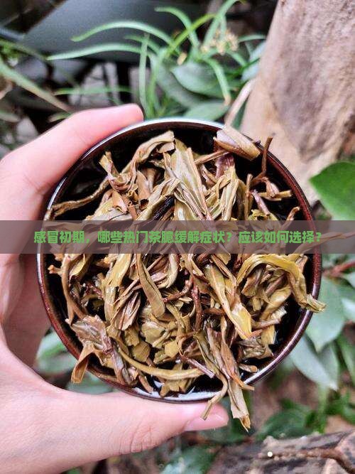 感冒初期，哪些热门茶臆缓解症状？应该如何选择？