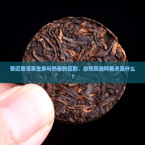 景迈普洱茶生茶与熟茶的区别、功效及选购要点是什么？