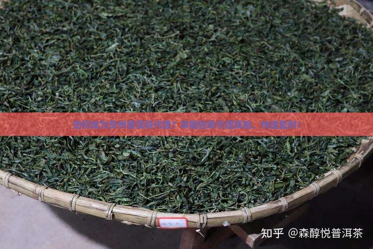 如何成为贺州普洱茶代理？掌握独家代理策略，快速盈利！