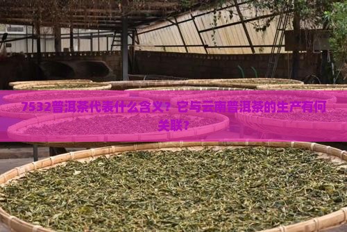 7532普洱茶代表什么含义？它与云南普洱茶的生产有何关联？