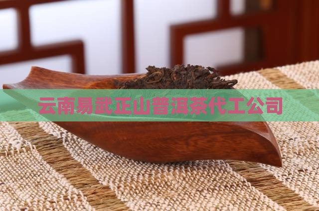 云南易武正山普洱茶代工公司