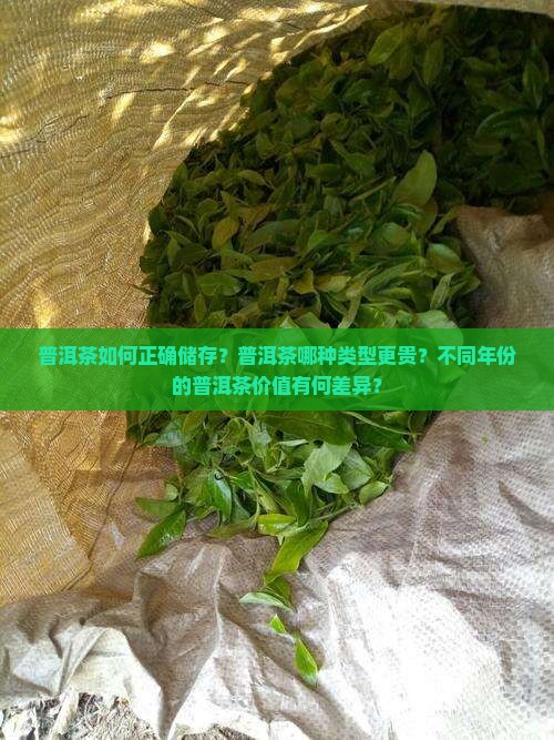 普洱茶如何正确储存？普洱茶哪种类型更贵？不同年份的普洱茶价值有何差异？