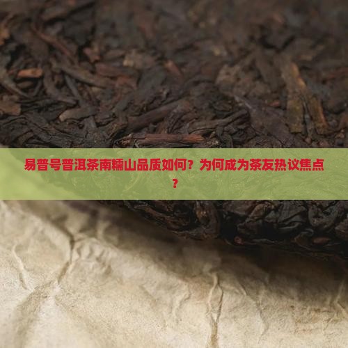 易普号普洱茶南糯山品质如何？为何成为茶友热议焦点？