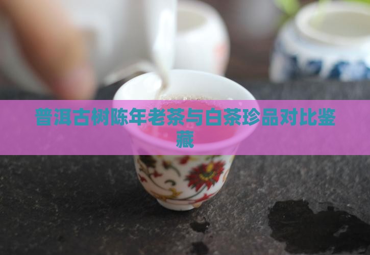 普洱古树陈年老茶与白茶珍品对比鉴藏