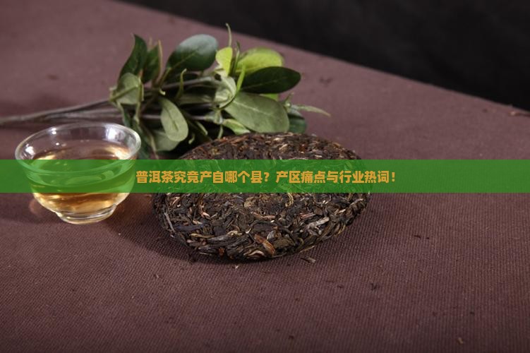 普洱茶究竟产自哪个县？产区痛点与行业热词！