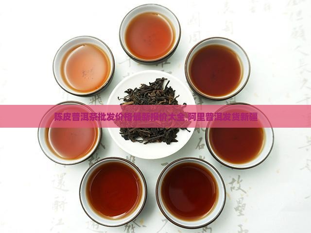 陈皮普洱茶批发价格最新报价大全 阿里普洱发货新疆