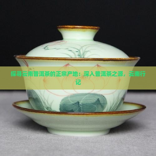 探寻云南普洱茶的正宗产地：深入普洱茶之源，云南行记